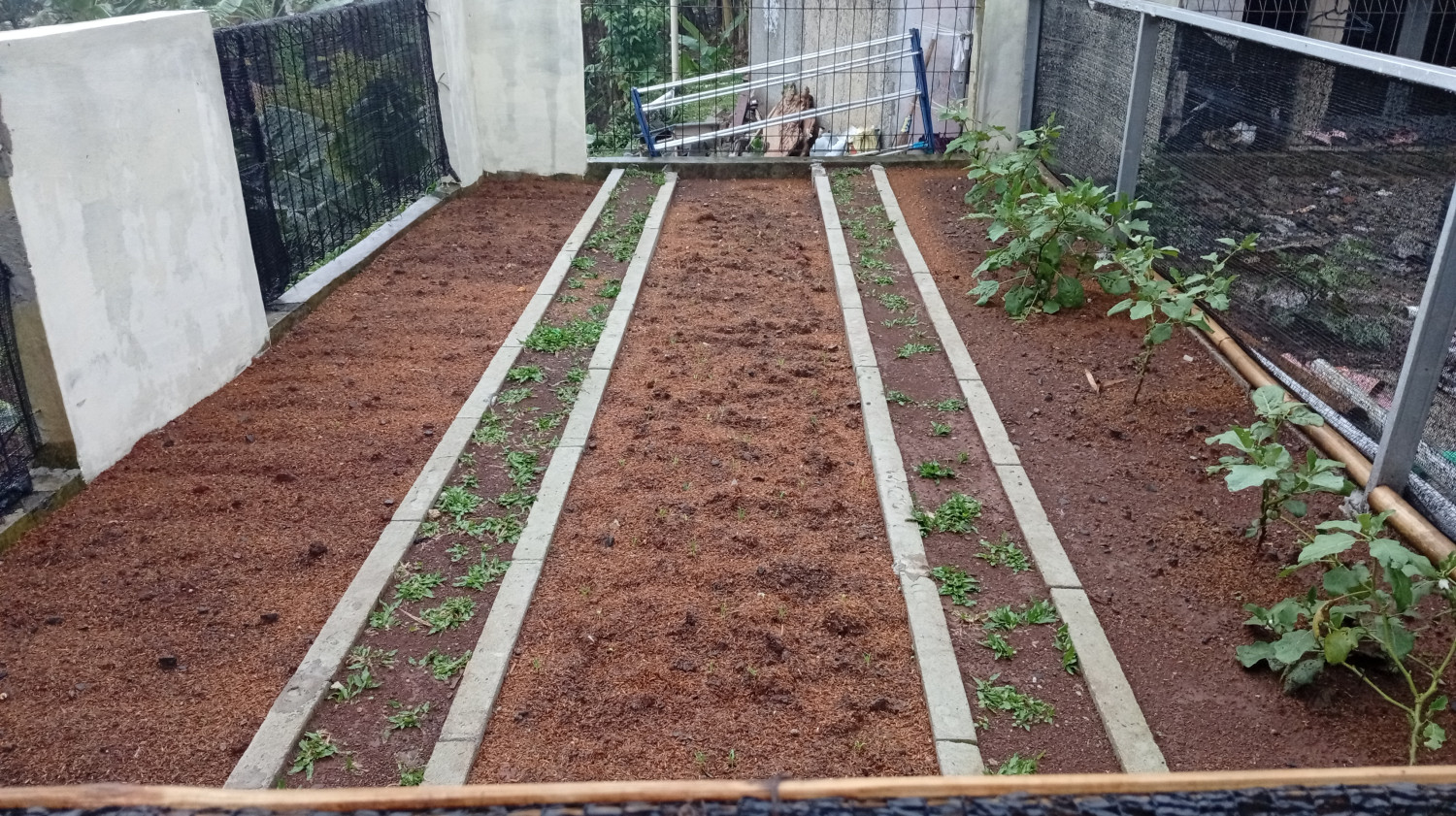 Persiapan Ramadhan: Menyambut Bulan Penuh Keberkahan dengan Kesadaran dan Kepedulian